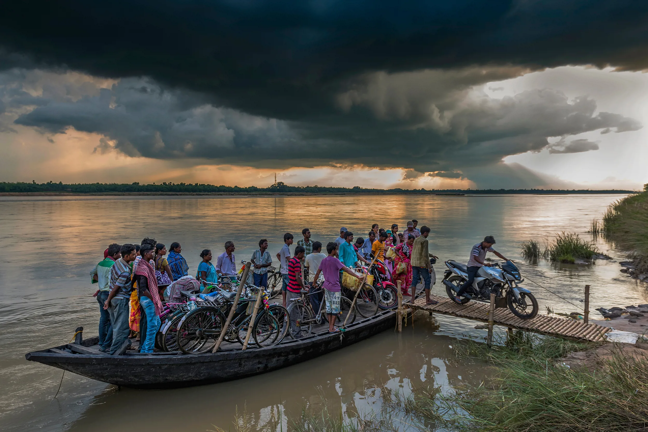 From water to land – Amitava Chandra, Adult Transport