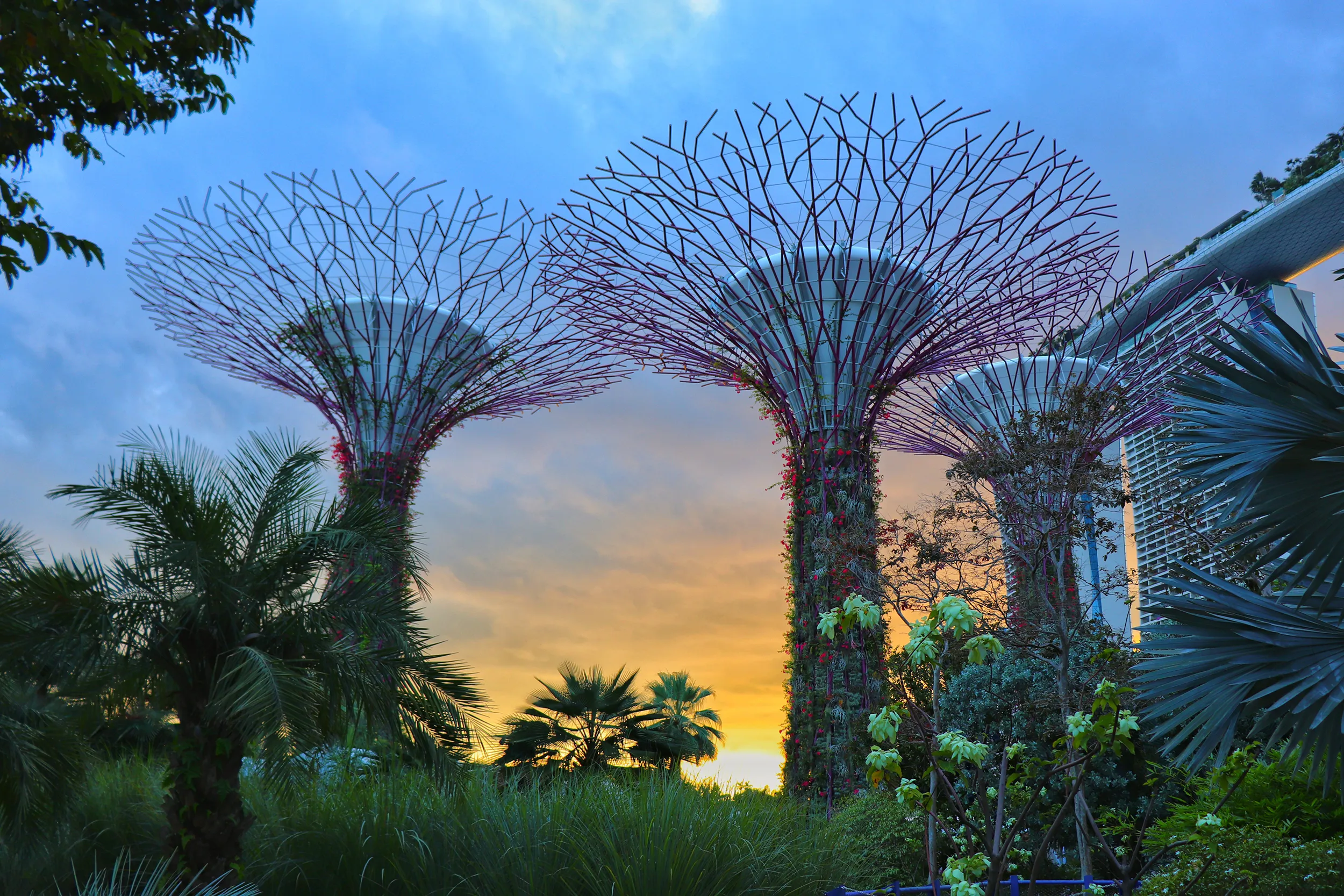 Beauty of engineering in nature – Vincent Yi, Adult Environment & Energy