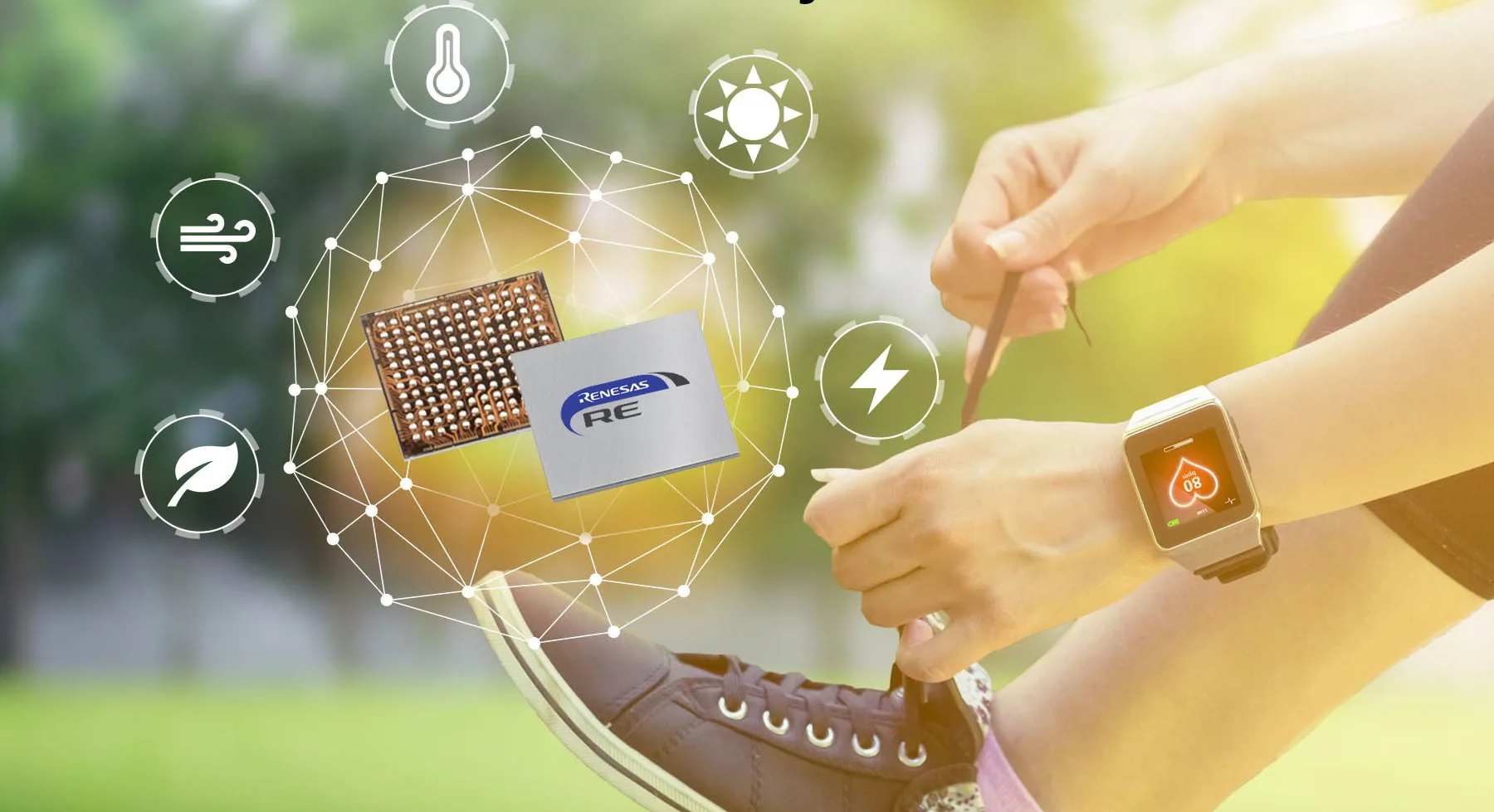 Renesas Electronic Corporation