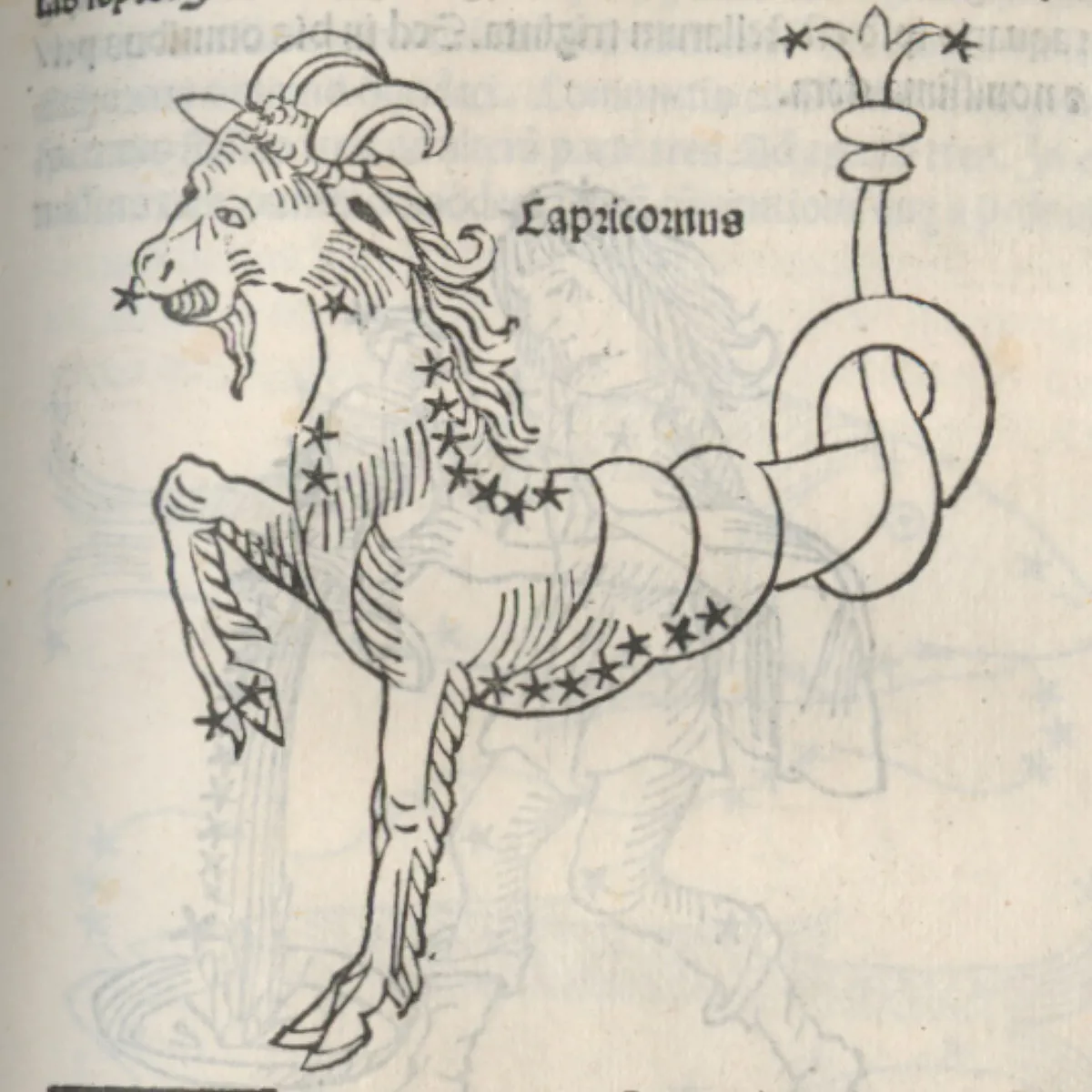 Capricorn