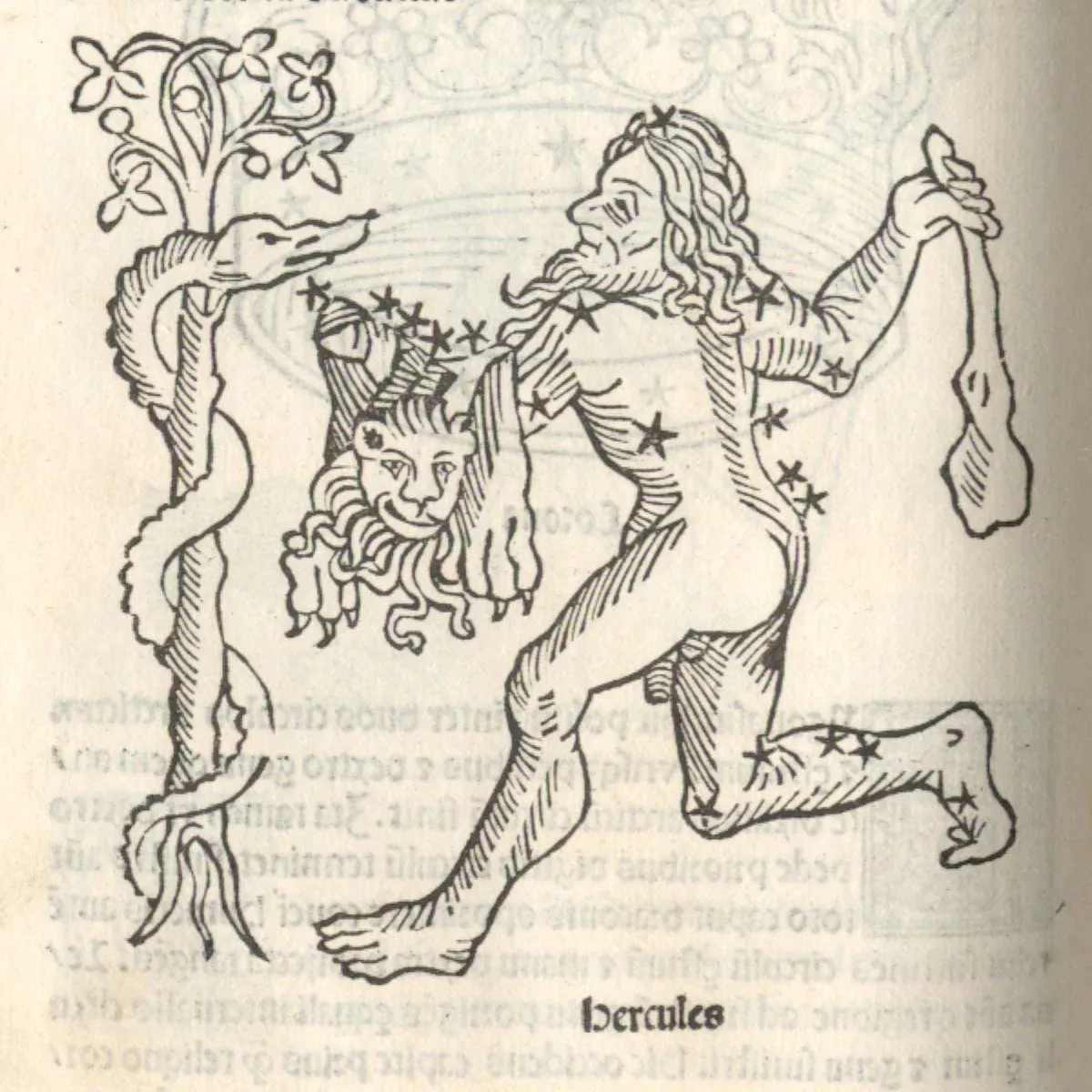 Hercules