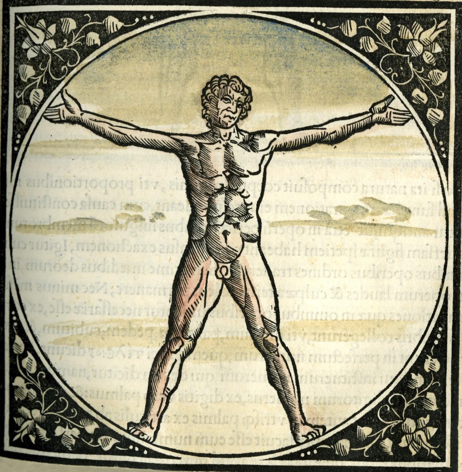 proportional study of man in the manner of vitruvius