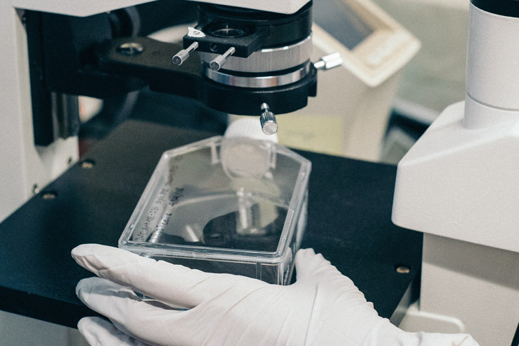 Scientist using microscope